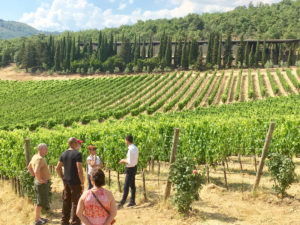 Italian Wine Tour